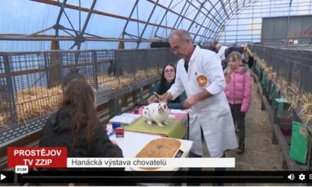 Hanácká výstava chovatelů